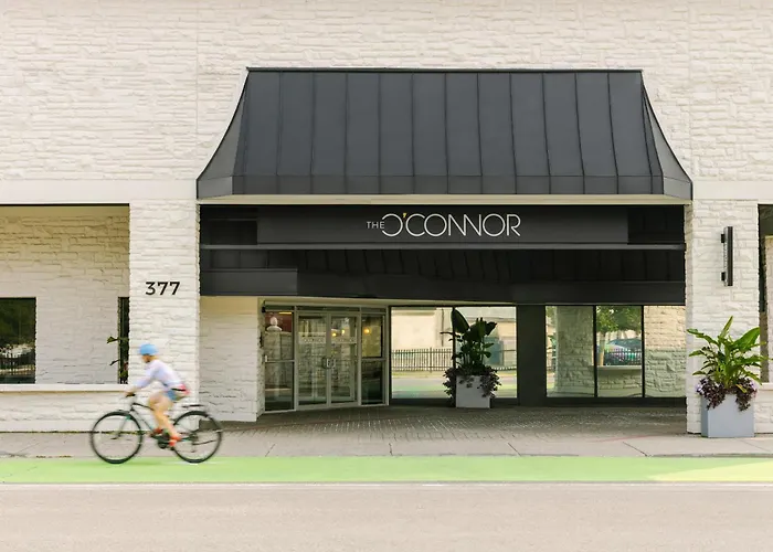 Sonder The O\'Connor